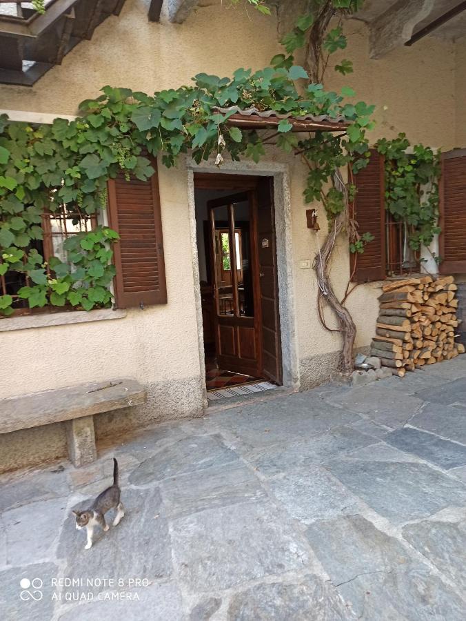 Casa Olmi Hotel Castiglione dʼIntelvi Eksteriør billede